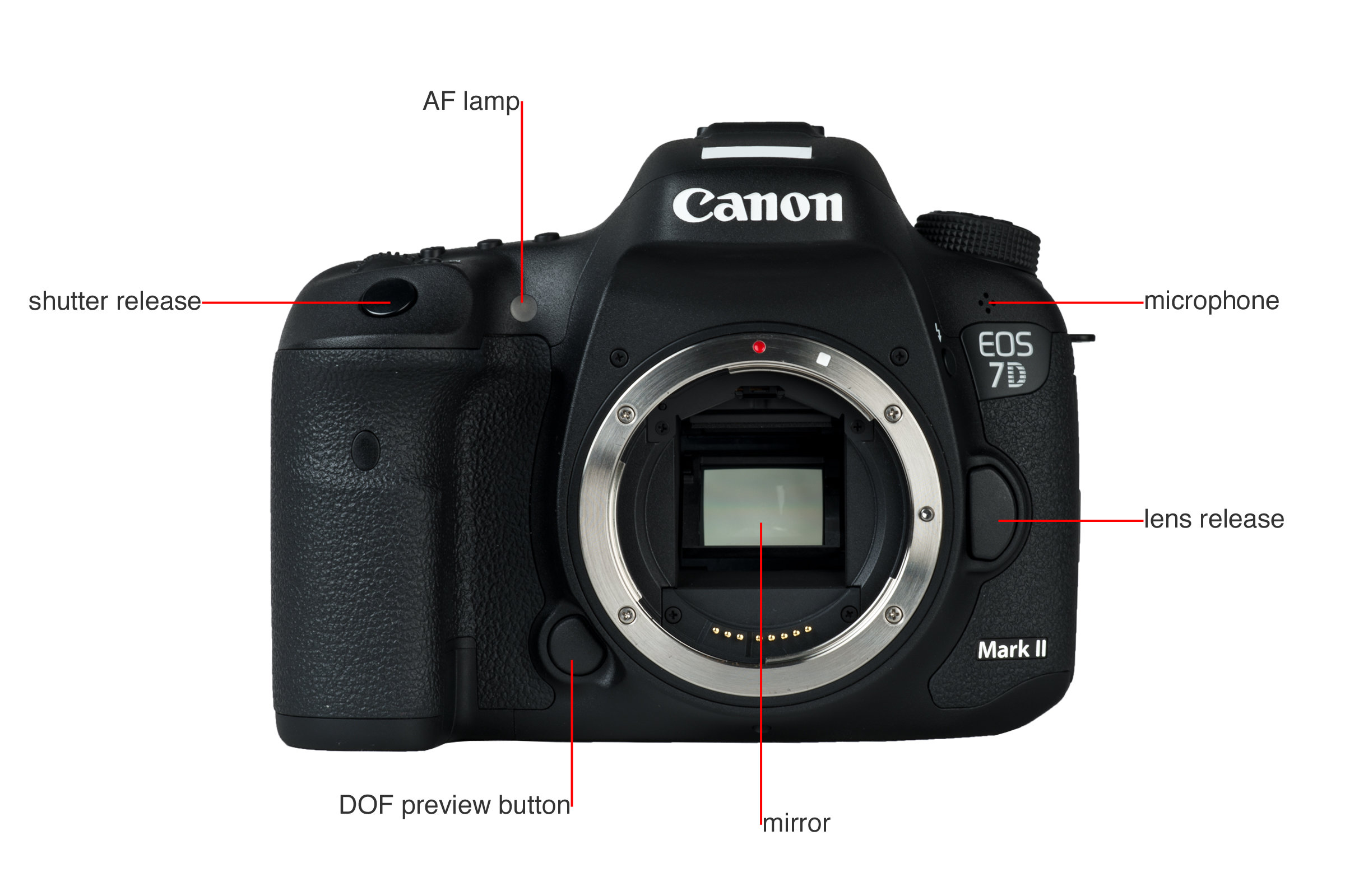 Canon 7D Mark II Digital Camera Review Cameras