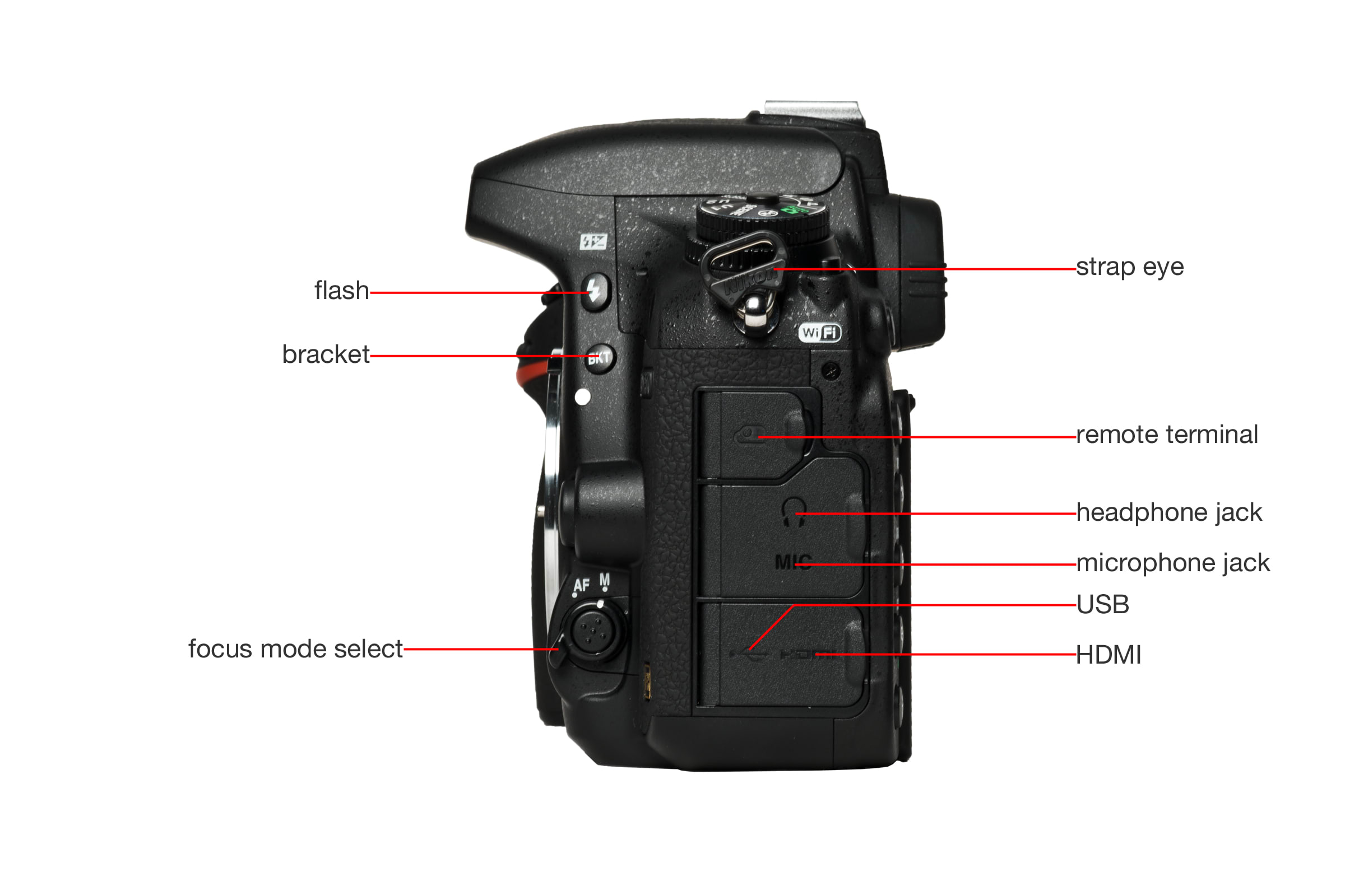 Nikon D750 Digital Camera Review Cameras