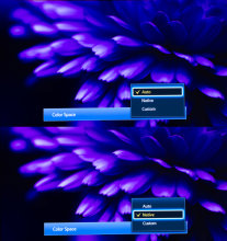 Chrysanthemum-ColorSpace.jpg