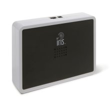 Lowe's Iris