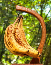 Banana Bread Time
