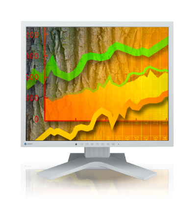 Product Image - Eizo FlexScan S1903