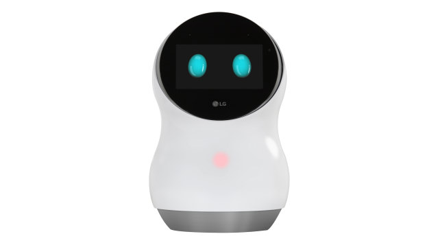 LG Hub Robot