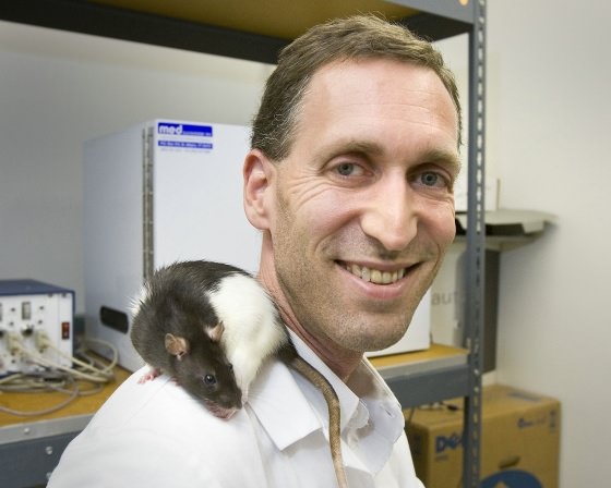Aaron-Blaisdell-Junk-Food-Rats.jpg