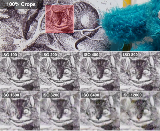Nikon-1-J4-review-science-alice-crops.jpg