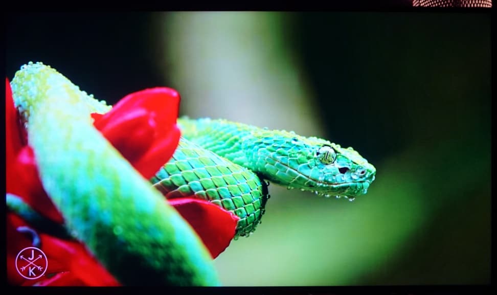 Sharp-65UB30-4K-Youtube