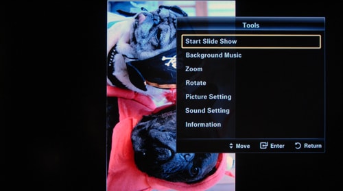 Local Media Playback 1 Photo