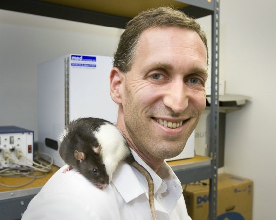 Aaron-Blaisdell-Junk-Food-Rats.jpg