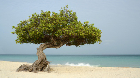 Southern-Caribbean-460.jpg