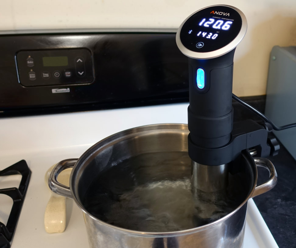 Anova Precision Cooker
