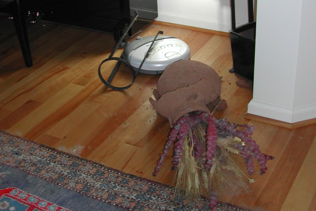 Robot Vacuum Fail