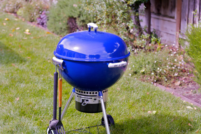 Grill with lid