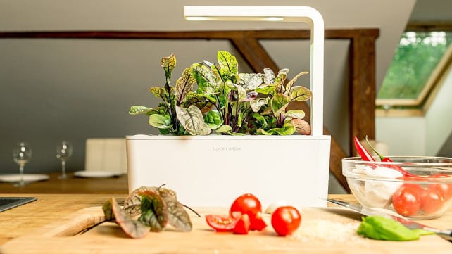 Click & Grow Indoor Smart Fresh Herb Garden Kit