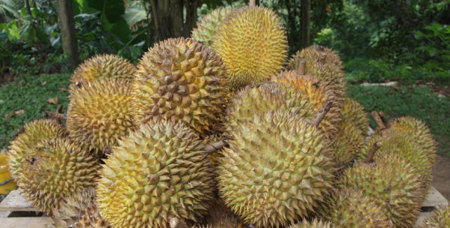 Durian
