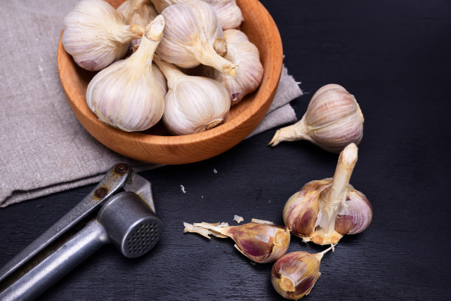 Garlic press