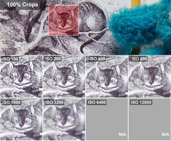 DCI-ALICE-CROPS-SAMSUNG-GALAXY-2.jpg
