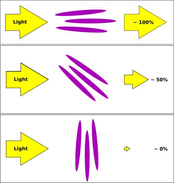 lcd function.png