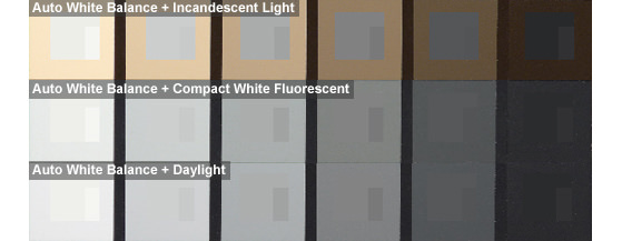PANASONIC_LF1_AWB.jpg
