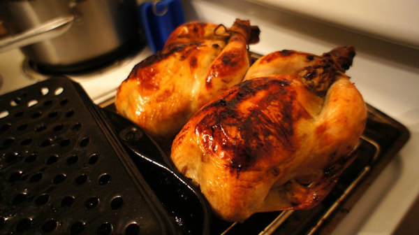 cornish game hen.jpg
