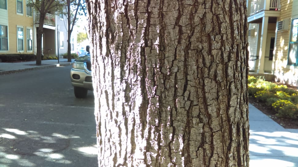 HTC Desire 626 Test Shot 7