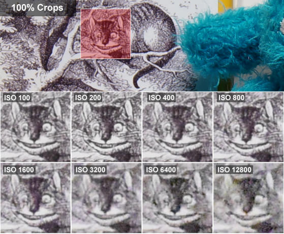 Nikon-1-J4-review-science-alice-crops.jpg