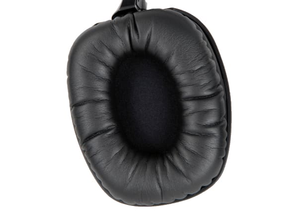Speaker Image