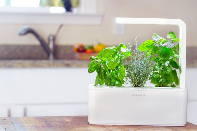 Click and Grow