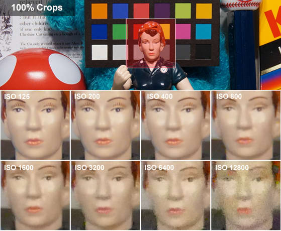 rosiecropsfz1000.jpg