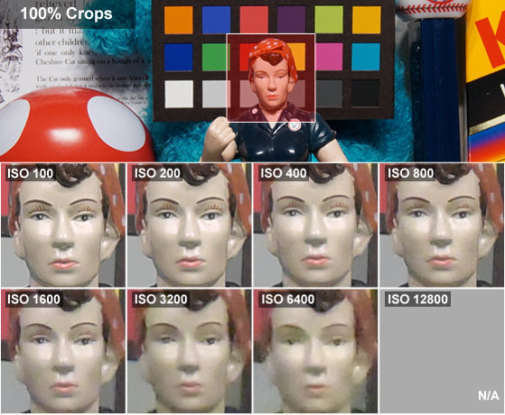 NIKON-COOLPIX-P340-REVIEW-ROSIE-CROPS.jpg