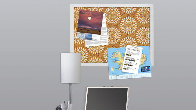 Wall Pops Corkboard