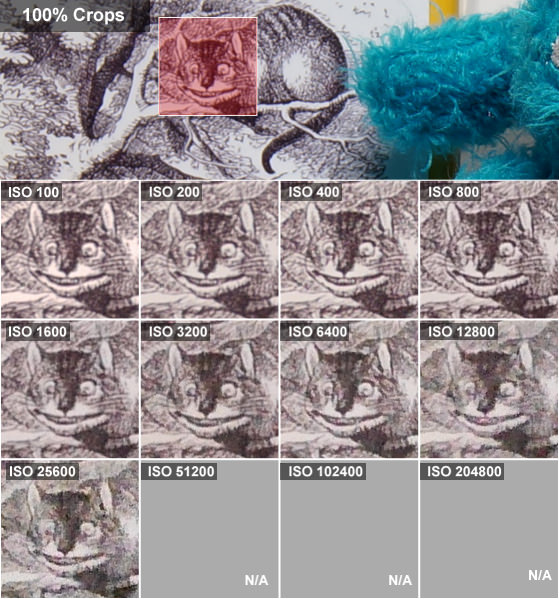 PANASONIC-LUMIX-GM5-ALICE.jpg