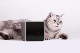 PetCube