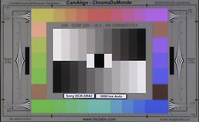 Sony_DCR-SR42_3000_Lux_Auto_web.jpg